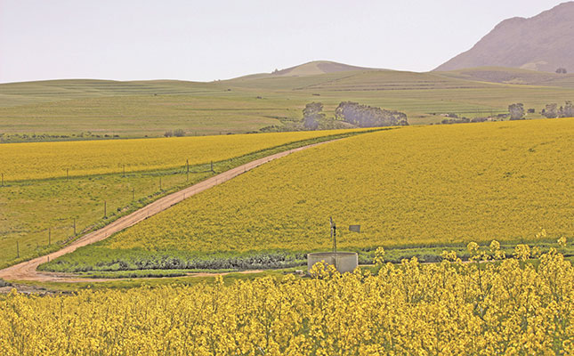 Agri role players share New Year’s resolutions for 2023 Agri role players share New Year’s resolutions for 2023