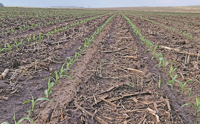 Celebrating the vital role of healthy soils in food security Celebrating the vital role of healthy soils in food security