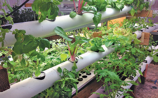 Boosting agricultural productivity via small-scale vertical farming