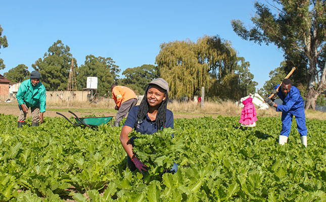 Smallholders can help to regenerate farming