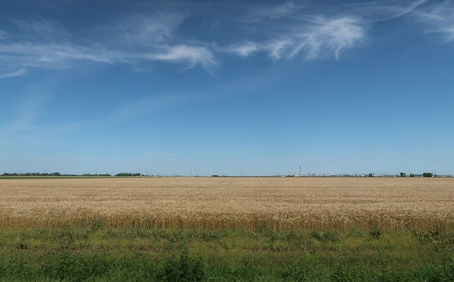 Spotlight on the global grain market expectations for 2023 Spotlight on the global grain market expectations for 2023