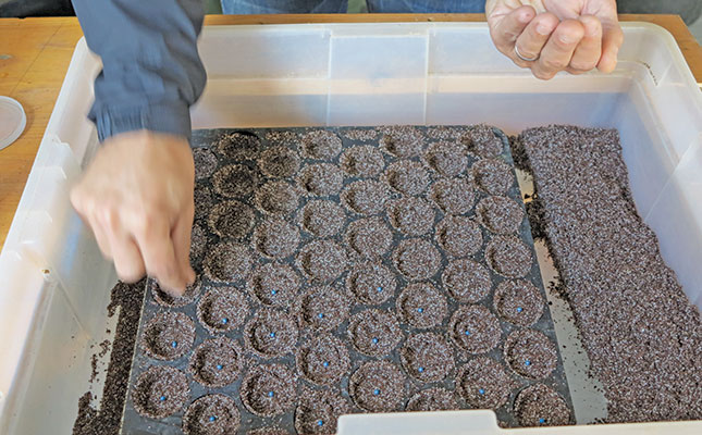 The importance of seed labelling for crop farmers The importance of seed labelling for crop farmers