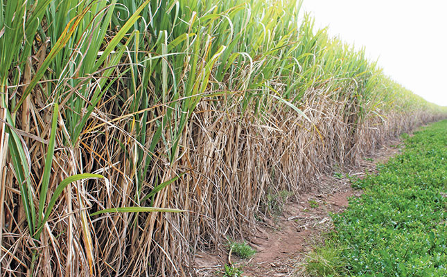 Sugar tax the main threat to the industry in 2023 Sugar tax the main threat to the industry in 2023