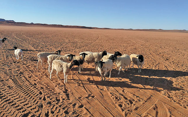 Northern Cape farmers’ drought misery continues