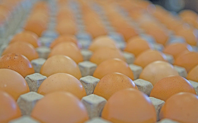 Accusations of price gouging as US egg profits soar