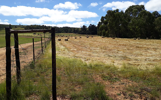 A brief overview of the agricultural landscape in 2023 A brief overview of the agricultural landscape in 2023