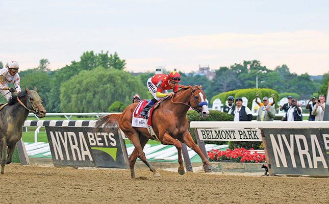 How to create the ‘perfect’ racehorse How to create the ‘perfect’ racehorse