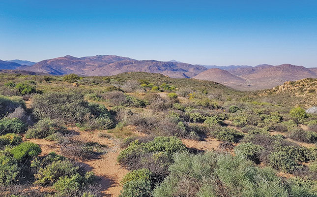 Protecting the jewel in SA’s biodiversity crown