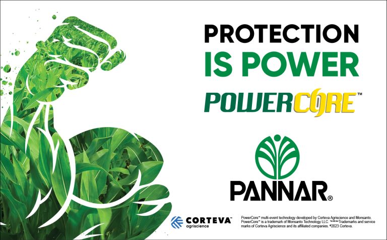 Transform maize production with Pannar’s PowerCore™ technology