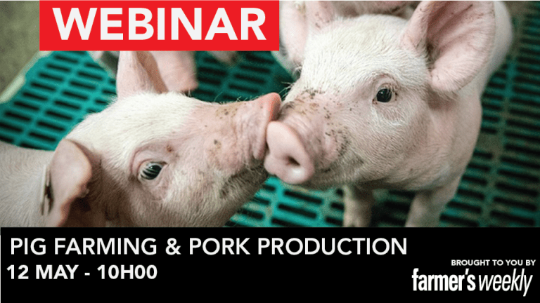 WEBINAR – The do’s and don’ts of pig farming and pork production