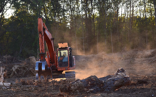 Commodity markets jittery as EU deforestation regulation looms