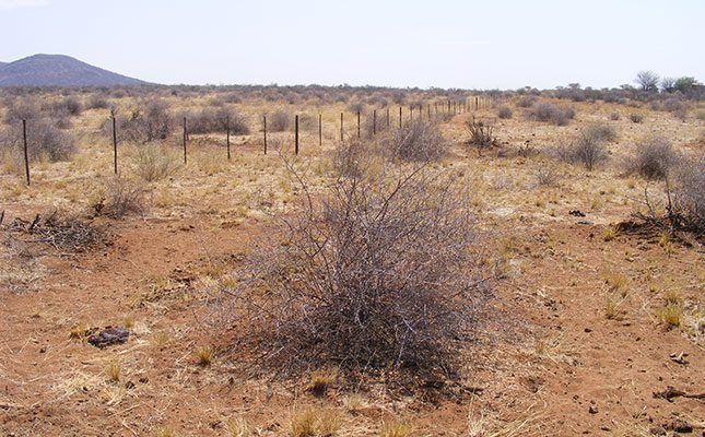 Severe drought in Namibia a cause for concern