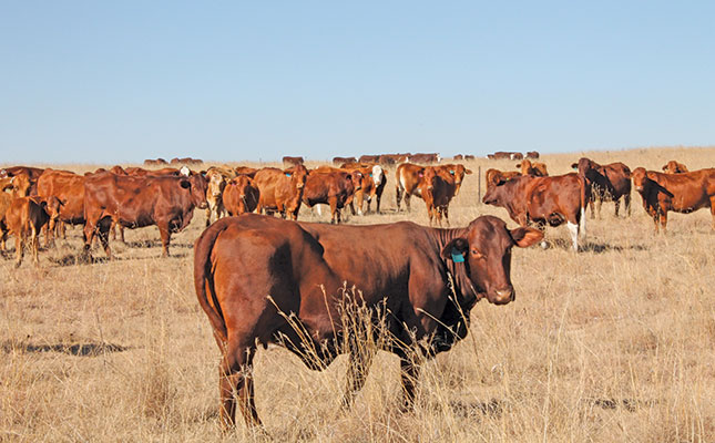 Vaccinate animals against lumpy skin disease, farmers warned Vaccinate animals against lumpy skin disease, farmers warned
