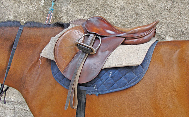 Identifying and treating chronic lower-back pain in horses