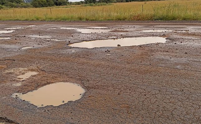 ‘Government is failing SA’s agri sector’ – Agbiz