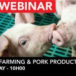 Pig-farming-04-(006)