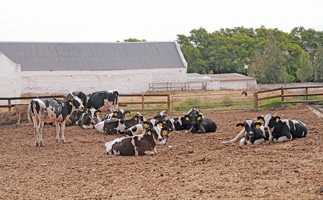 Boosting dairy profitability: it’s not all in the genes!