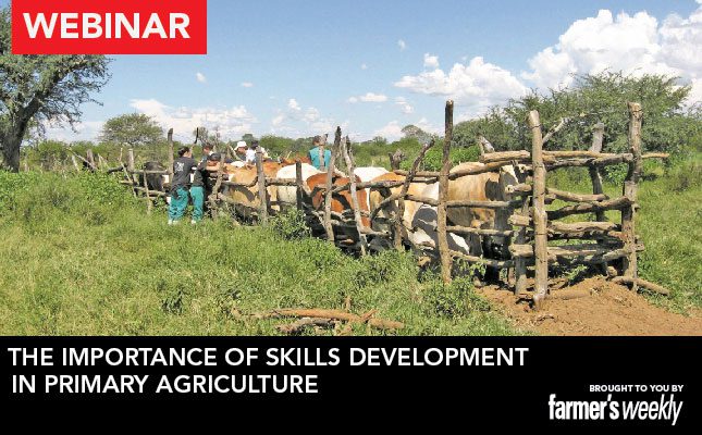 Webinar: The importance of skills development in primary agriculture