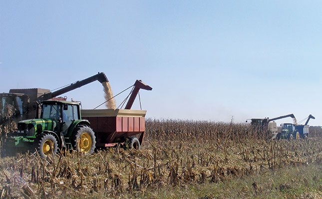 Higher maize yield boosts production figures