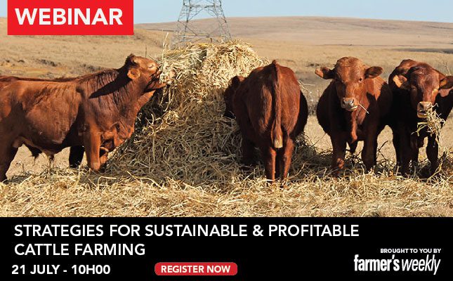 Strategies for sustainable & profitable cattle farming