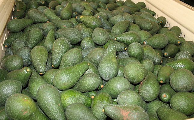 Limited consumer spending hits avocado market