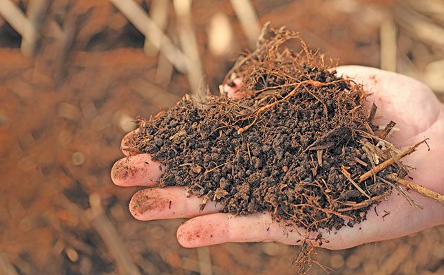 The Importance of Soil Health