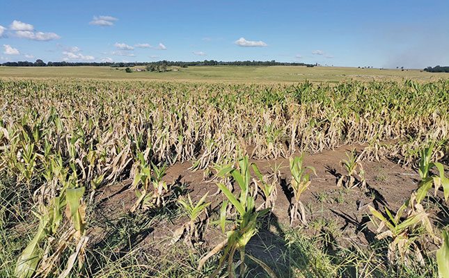 Marginal soils: What to look out for, and how to optimise yield