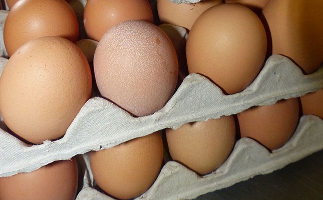 Bird flu leads to possible egg, chicken meat shortages