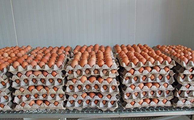 World Egg Day celebrated despite shortages