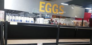 empty shelves with no eggs at retail stores