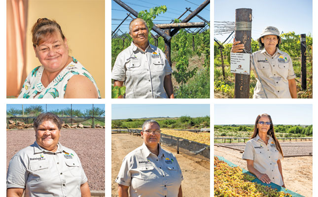 Unlocking value for smallholder raisin producers