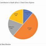 Percentage contribution  to South Africa‘s total  citrus exports.