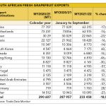 South African Fresh grapefruit exports