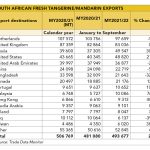 South African Fresh tangerine/mandarin exports