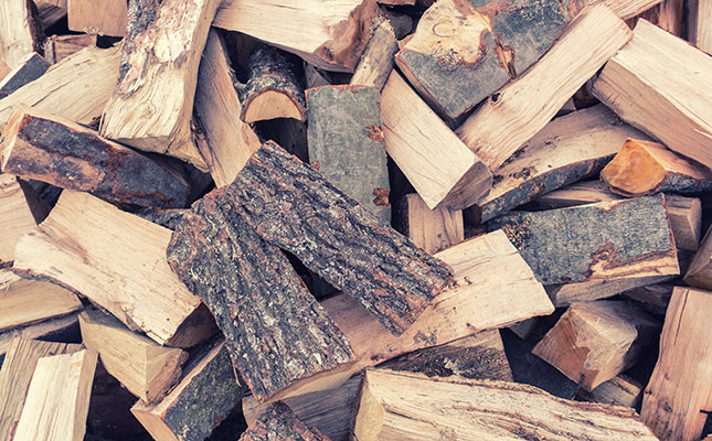 Ezemvelo appeals to visitors not to bring firewood into reserves