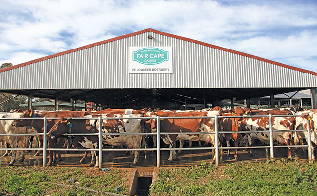 Why this Durbanville dairy keeps on winning awards