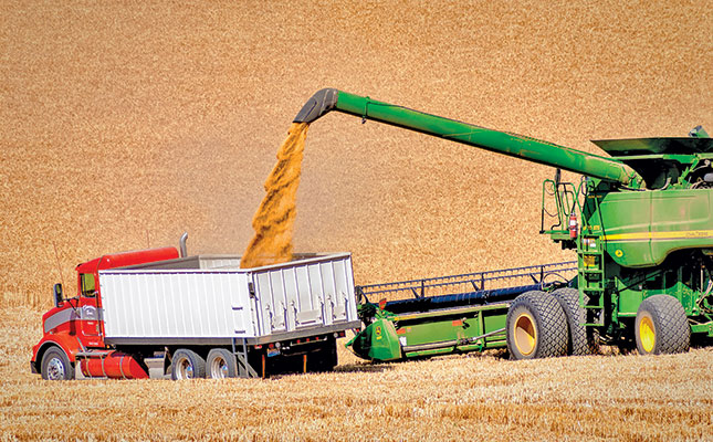 Wheat developments to boost farmers’ profitability