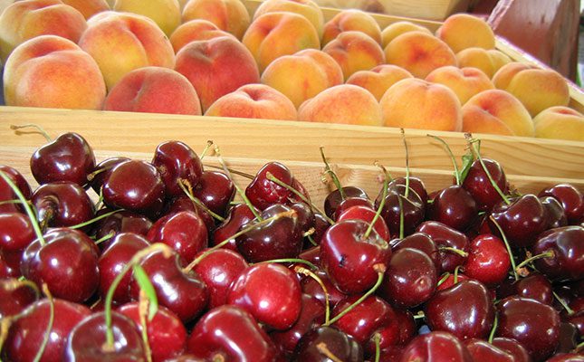 Massive crop losses for Canadian fruit farmers after ‘deep freeze’