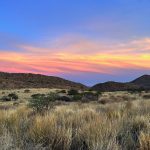 Tswalu Kalahari Reserve by Brian Berkman -8