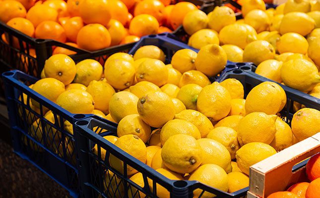 Extra cargo service to boost citrus exports