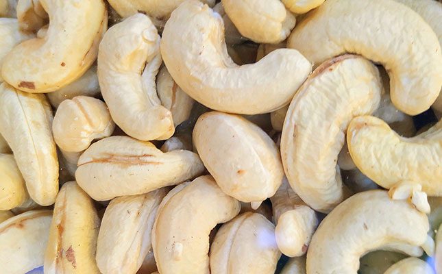 Zambia diversifies and revives cashew production