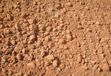 Cloddy soil