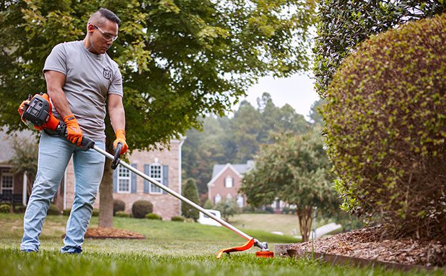 Expert tips for perfect lawn edging