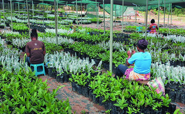 Plight of female agricultural workers in the spotlight
