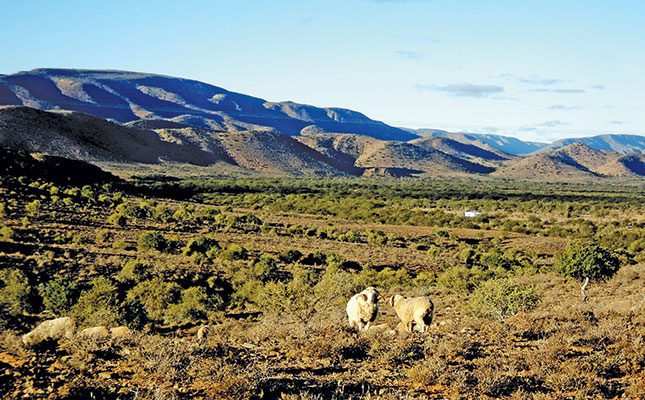 New book explores the Karoo’s environmental history
