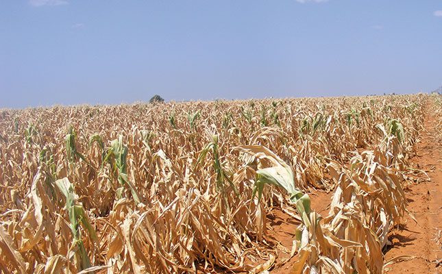 UN pledges R37 billion towards Zimbabwe’s drought crisis
