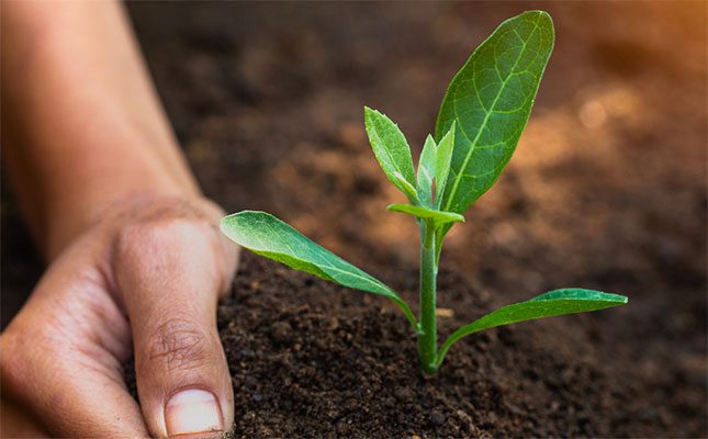 Leveraging science to enhance soil carbon production