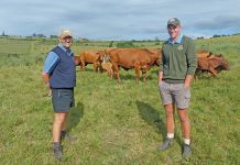 livestock farming business plan south africa