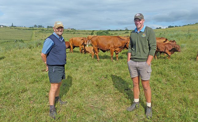 Success story of a Brangus stud on an Eastern Cape dairy farm