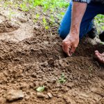 Soil-Health
